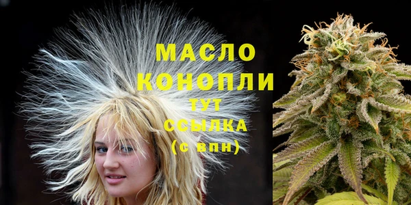 хмурый Дмитриев