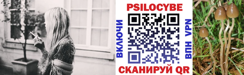 Галлюциногенные грибы Cubensis  Купить где  Краснообск 