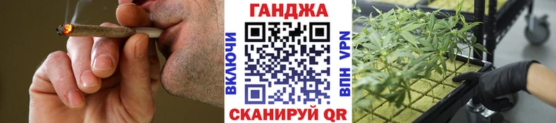Купить закладки  Краснообск  Бошки Шишки конопля